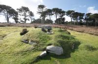 STW_0584.jpg