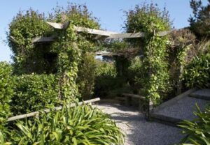 Garden_3