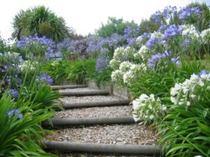 Garden-2